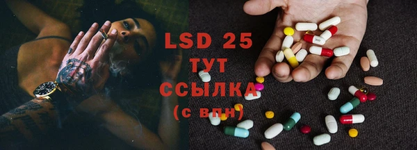 сатива Аркадак