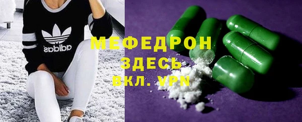 сатива Аркадак