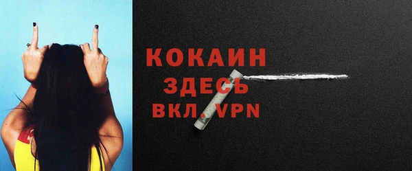спайс Арсеньев