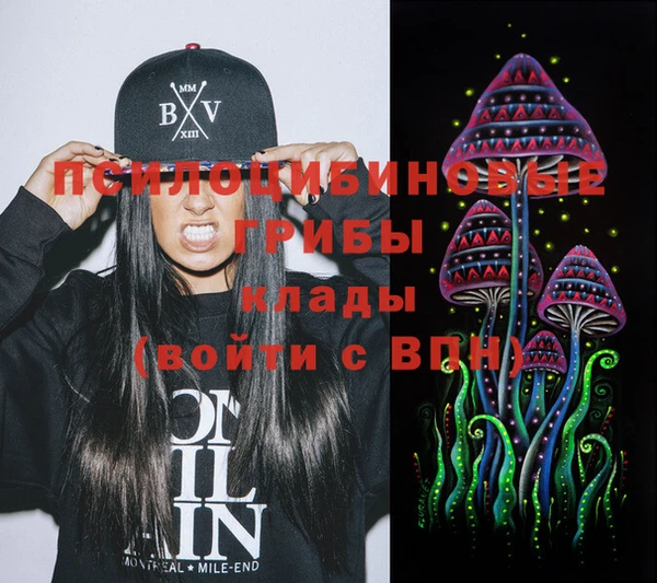 герыч Туринск
