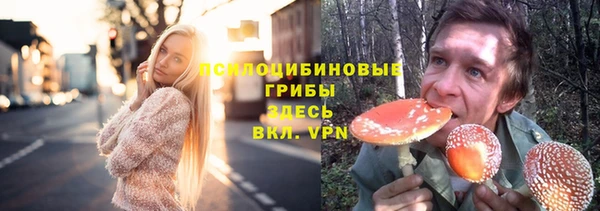 хмурый Армянск