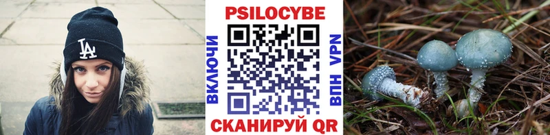 Псилоцибиновые грибы Psilocybe Чадан